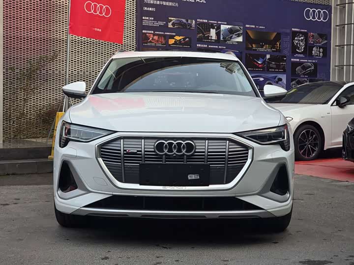 Audi e-tron 2021 2021款 50 quattro 臻选型