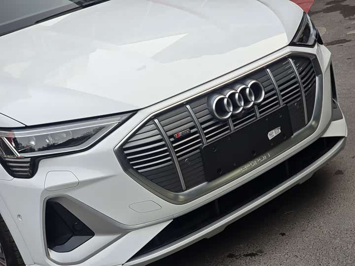Audi e-tron 2021 2021款 50 quattro 臻选型