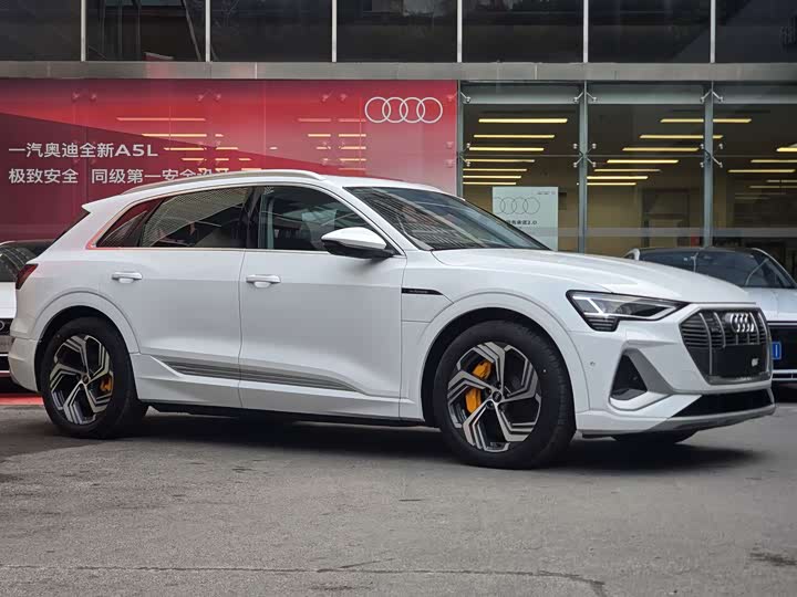 Audi e-tron 2021 2021款 50 quattro 臻选型