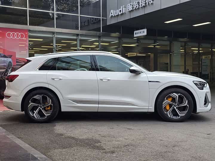 Audi e-tron 2021 2021款 50 quattro 臻选型