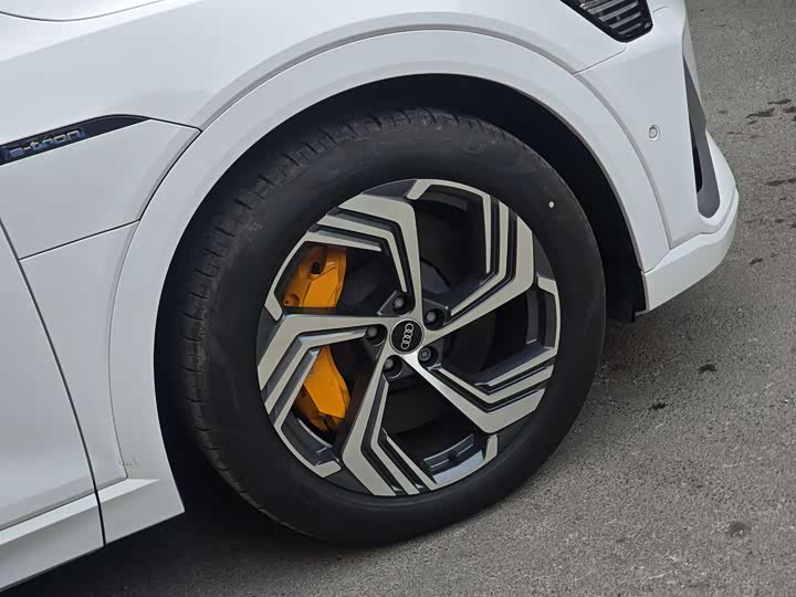 Audi e-tron 2021 2021款 50 quattro 臻选型
