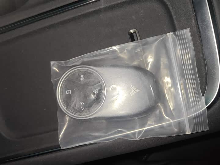 Hozon S Hunting 2024 2024款 增程300 标准版