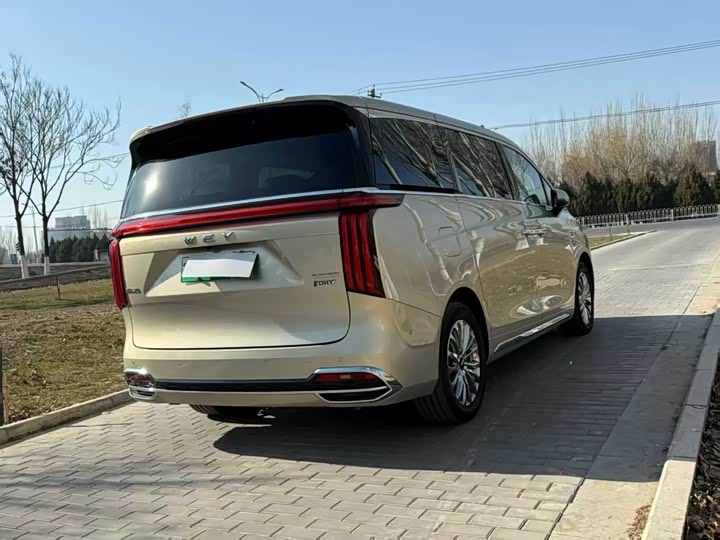 Wey Gaoshan 2023 2023款 四驱旗舰版