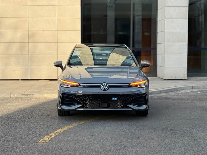 Volkswagen Golf 2025 2025款 300TSI R-Line