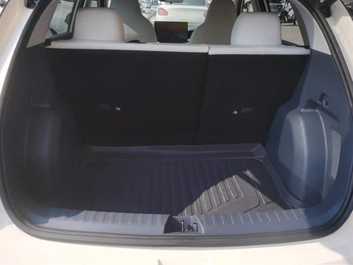 Geely Galaxy Geome 2025 2025款 310km 梦想版