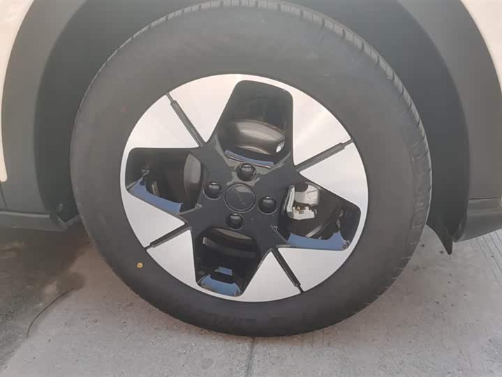 Geely Galaxy Geome 2025 2025款 310km 梦想版