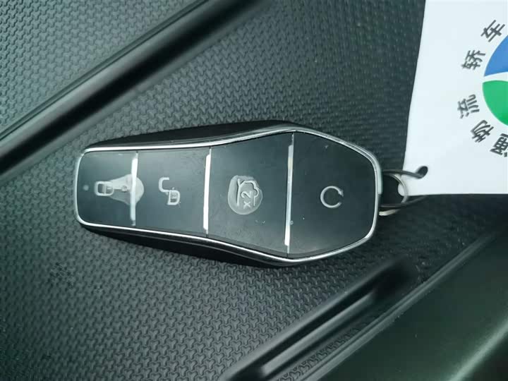 BYD Qin Plus 2025 2025款 DM-i 智驾版 55KM领先型