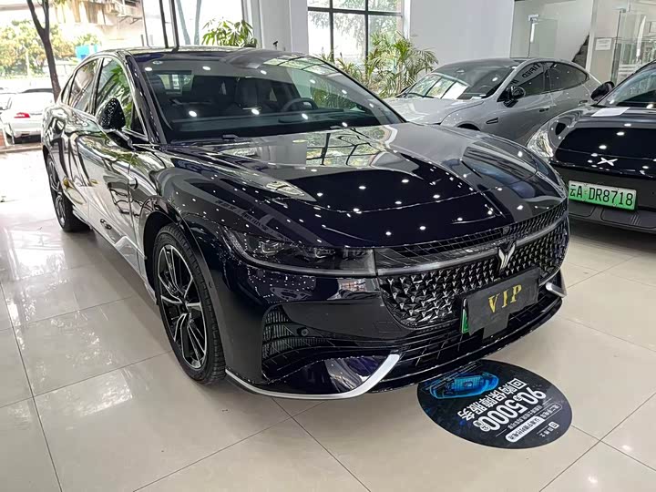 Voyah Passion 2024 2024款 PHEV 四驱超长续航旗舰版