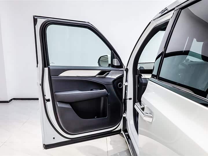 Volvo EM90 2025 2025款 Ultra 六座