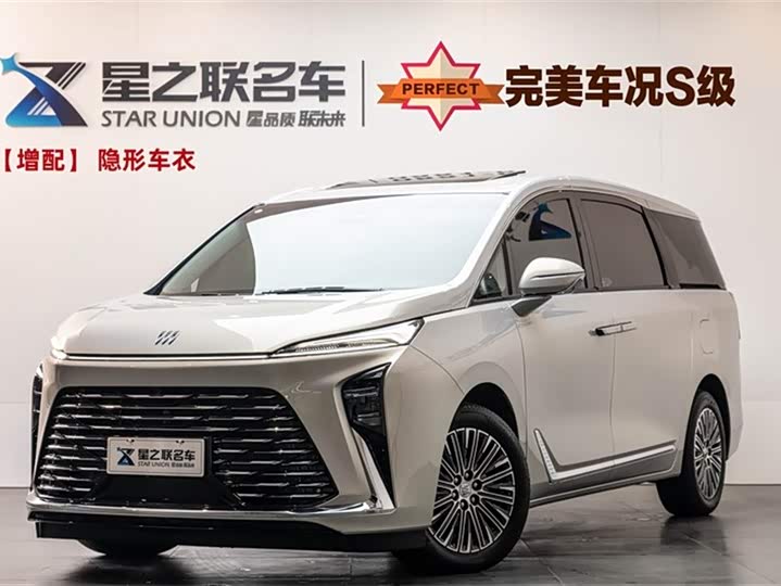 Buick GL8 ES 2025 2025款 陆尊 智享版