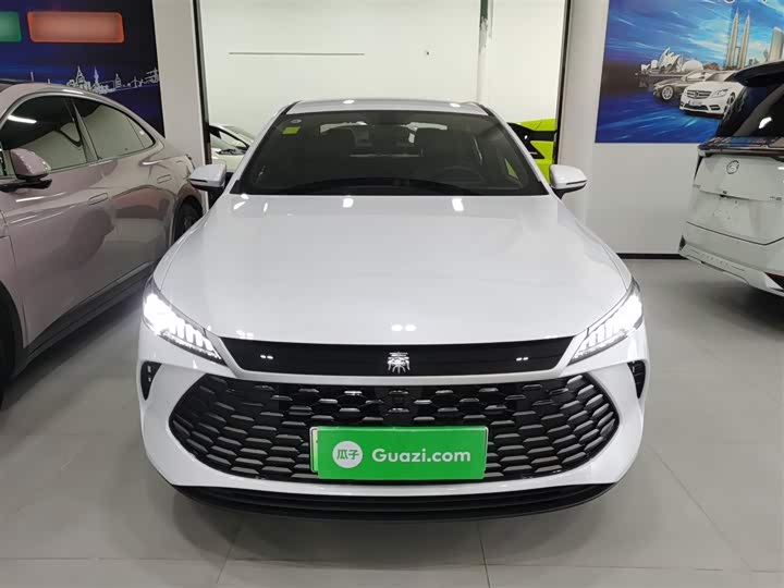 BYD Qin Plus 2025 2025款 DM-i 智驾版 55KM领先型