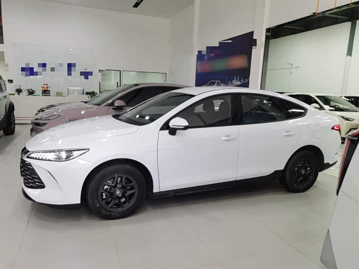 BYD Qin Plus 2025 2025款 DM-i 智驾版 55KM领先型