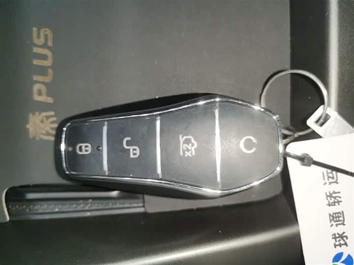 BYD Qin Plus 2025 2025款 DM-i 智驾版 55KM领先型