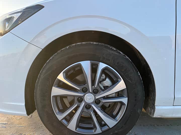 Changan Eado Plus 2024 2024款 PLUS 蓝鲸NE 1.4T GDI DCT高能版