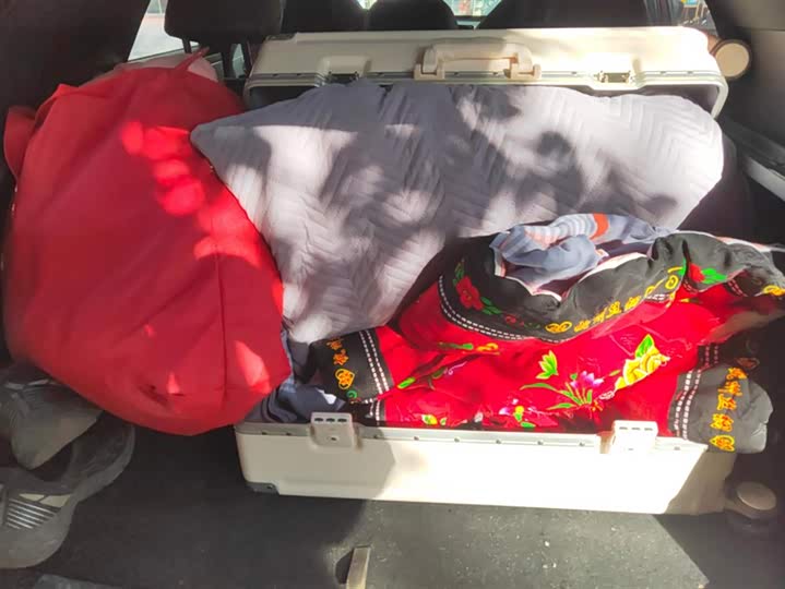 MG Motor One 2022 2022款 α-数智运动系列 1.5T 进阶版