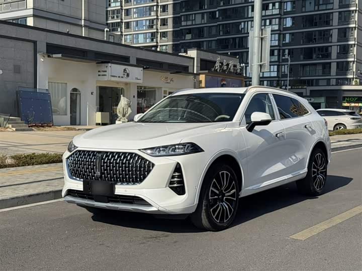 Wey Mocha 2021 2021款 2.0T 四驱特醇版