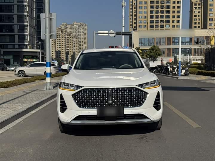 Wey Mocha 2021 2021款 2.0T 四驱特醇版