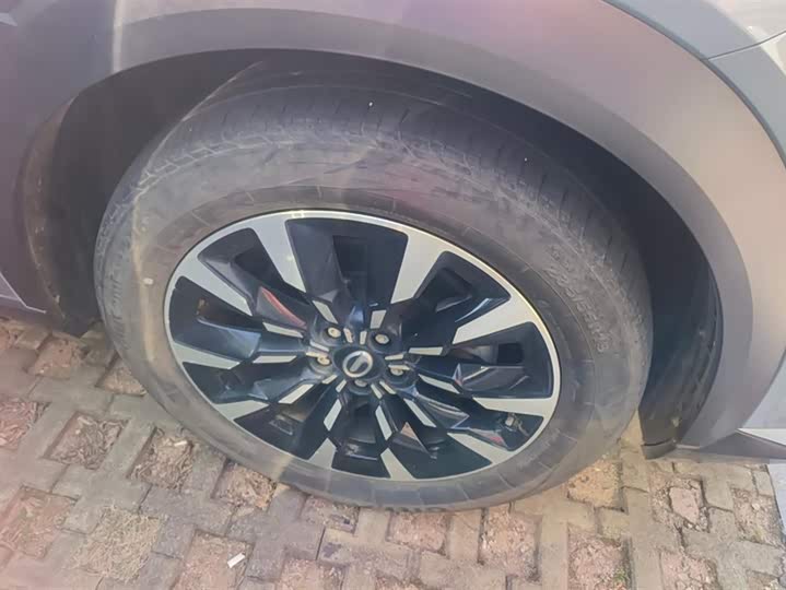 GAC Trumpchi Emkoo 2022 2022款 2.0ATK 双子星Pro版