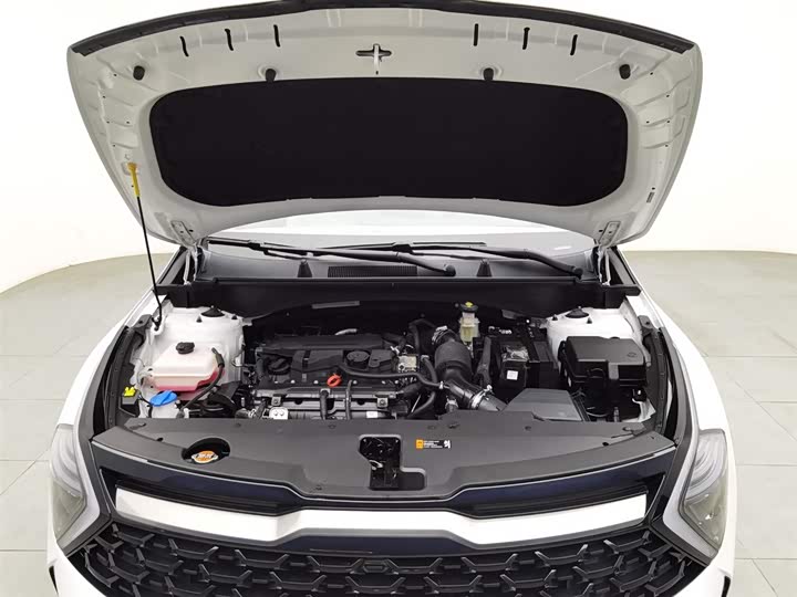 Kia Sportage 2023 2023款 1.5T 两驱尊贵版