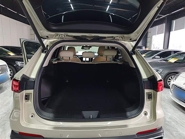 Haval Ruge Max 2023 2023款 1.5L Hi4 105 四驱智能旗舰版