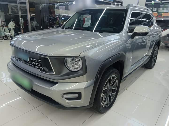 Haval H-Dog Hybrid 2024 2024款 Hi4 102km 潮电版Plus