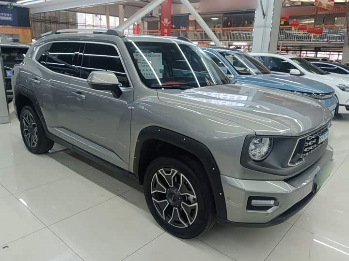Haval H-Dog Hybrid 2024 2024款 Hi4 102km 潮电版Plus