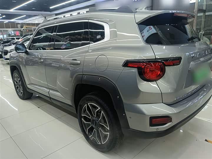 Haval H-Dog Hybrid 2024 2024款 Hi4 102km 潮电版Plus
