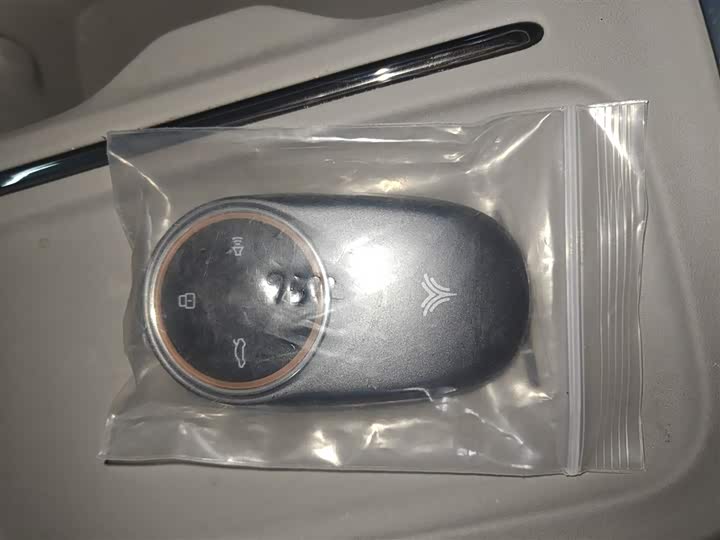 Hozon S Hunting 2024 2024款 增程300 标准版