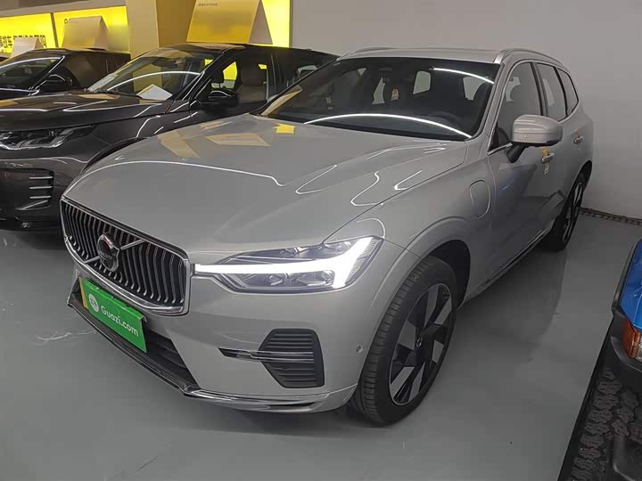 Volvo XC60 Hybrid 2025 2025款 插电式混动 长续航四驱智远豪华版