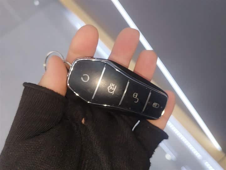 BYD Seal 07 DM-i Hybrid 2025 2025款 智驾版 DM-i 1.5L 125km 尊贵型