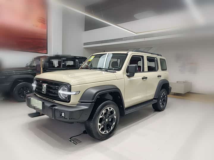 Tank 300 Hybrid 2025 2025款 Hi4-T 37.1kWh