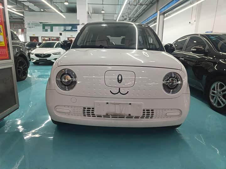 Ora Black Cat 2022 2022款 301km 萌宠版 磷酸铁锂