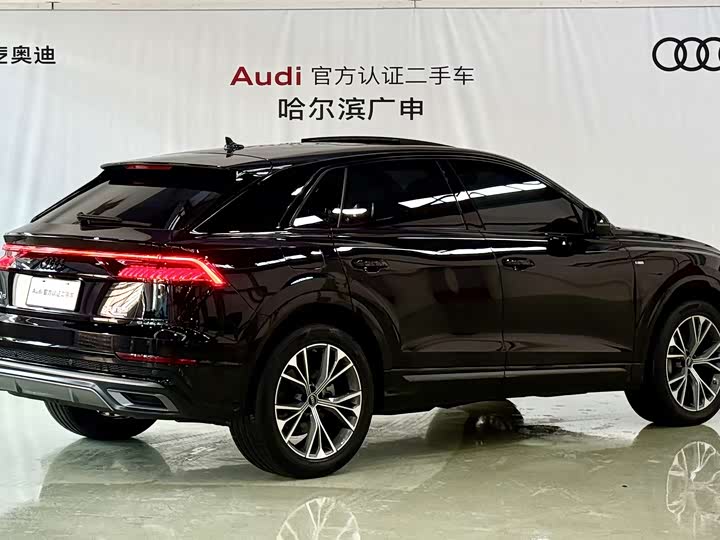 Audi Q8 2023 2023款 55 TFSI 豪华动感型