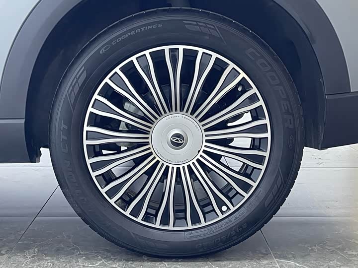 Chery Tiggo 8L 2024 2024款 2.0T 两驱尊贵版 5座