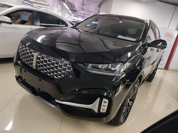 Wey VV6 2021 2021款 2.0T 两驱智护+