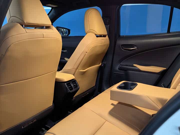 Lexus UX 2022 2022款 260h 探·趣版