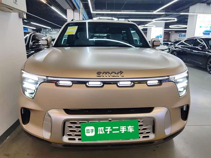 Smart #5 2024 2024款 长续航奇旅 豪华版