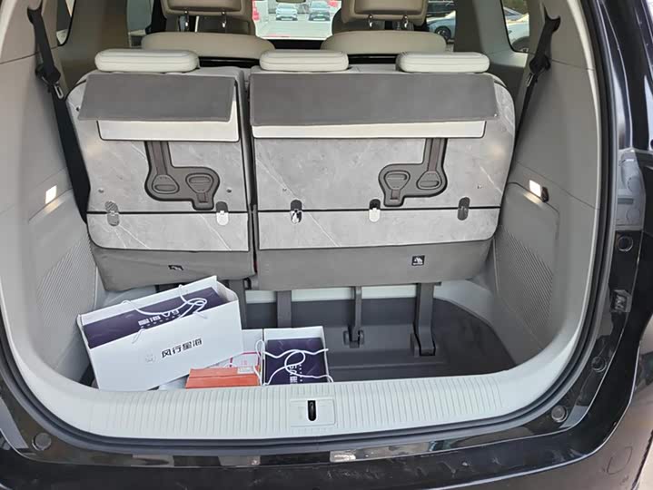 Dongfeng Forthing Xinghai V9 2024 2024款 1.5TD 200km 青云梯系列 尊贵型