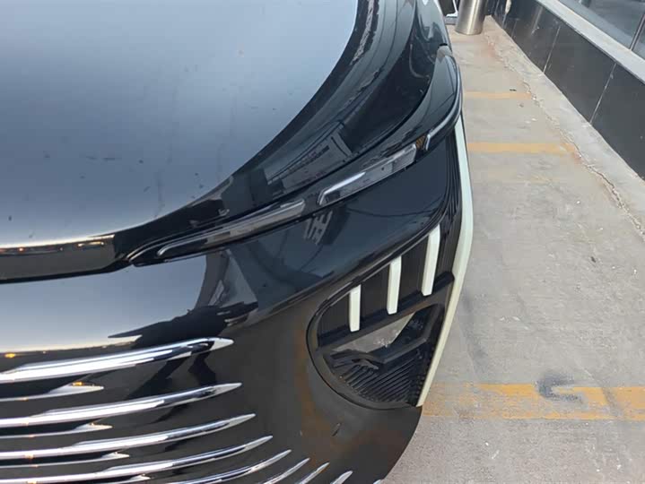 Dongfeng Forthing Xinghai V9 2024 2024款 1.5TD 200km 青云梯系列 尊贵型