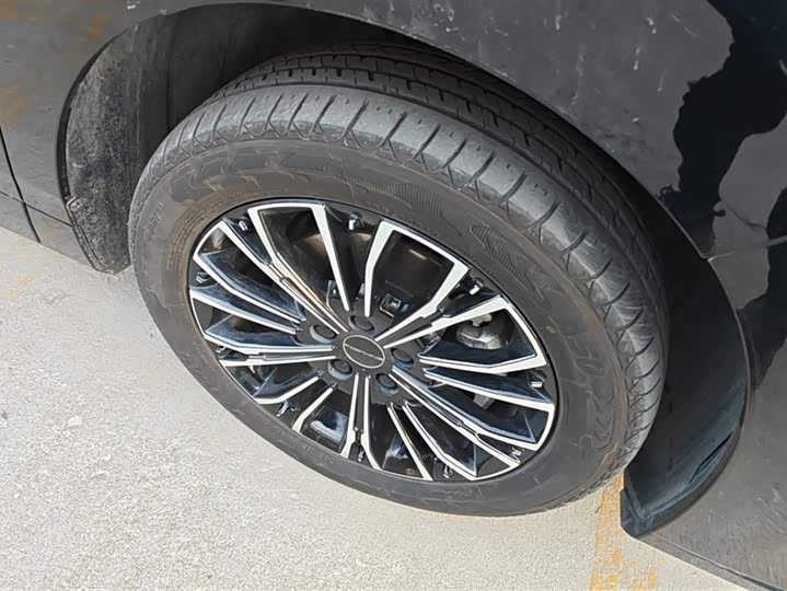 Dongfeng Forthing Xinghai V9 2024 2024款 1.5TD 200km 青云梯系列 尊贵型