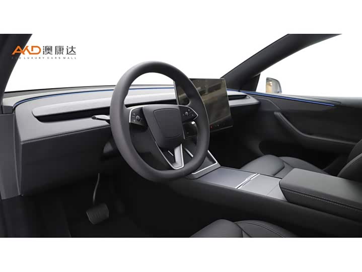 Tesla Model Y 2025 2025款 长续航全轮驱动版