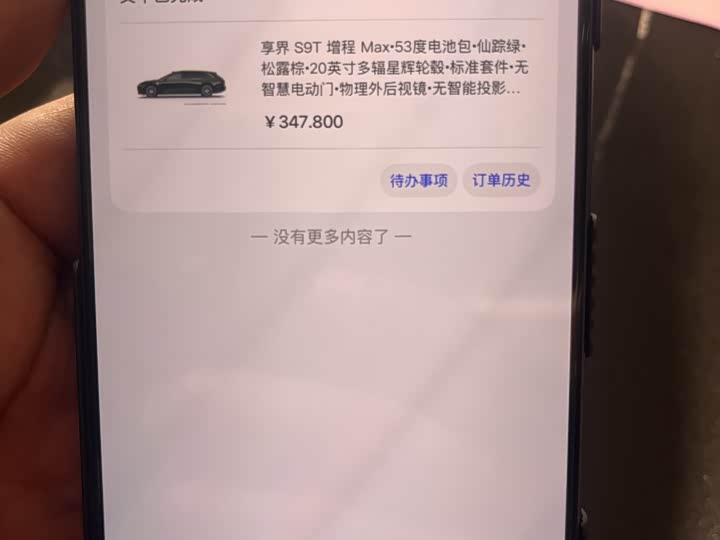 Stelato S9T 2025 2025款 增程 Max