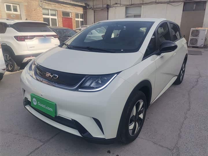 BYD Dolphin 2025 2025款 420km 自由版