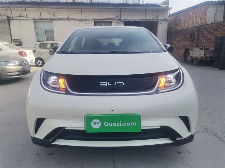 BYD Dolphin 2025 2025款 420km 自由版