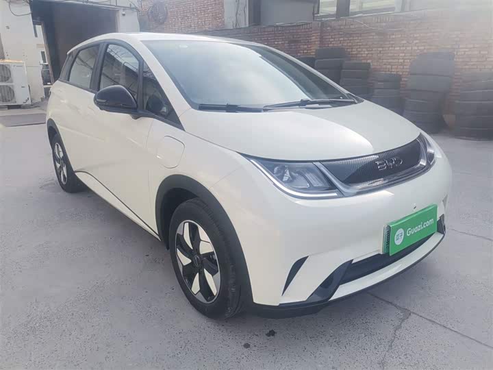 BYD Dolphin 2025 2025款 420km 自由版
