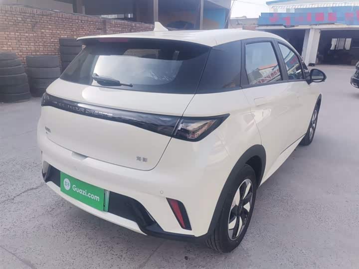 BYD Dolphin 2025 2025款 420km 自由版