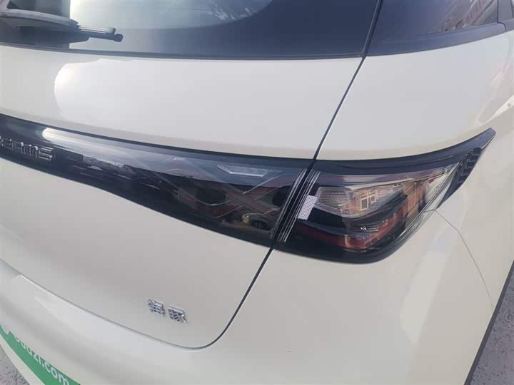 BYD Dolphin 2025 2025款 420km 自由版