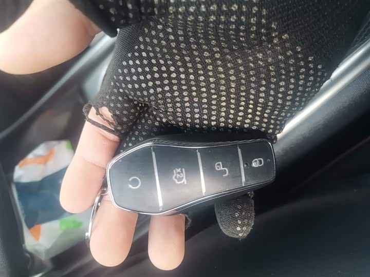 BYD Dolphin 2025 2025款 420km 自由版