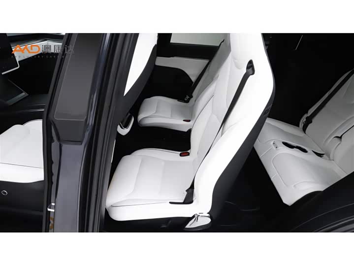 Tesla Model X 2023 2023款 三电机全轮驱动 Plaid版
