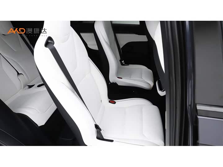 Tesla Model X 2023 2023款 三电机全轮驱动 Plaid版